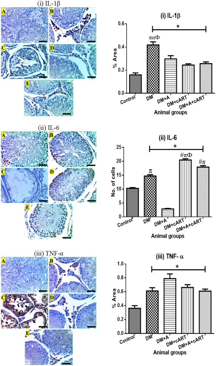 https://cdn.ncbi.nlm.nih.gov/pmc/blobs/4730/10787109/e295ee072484/43188_2023_200_Fig4_HTML.jpg