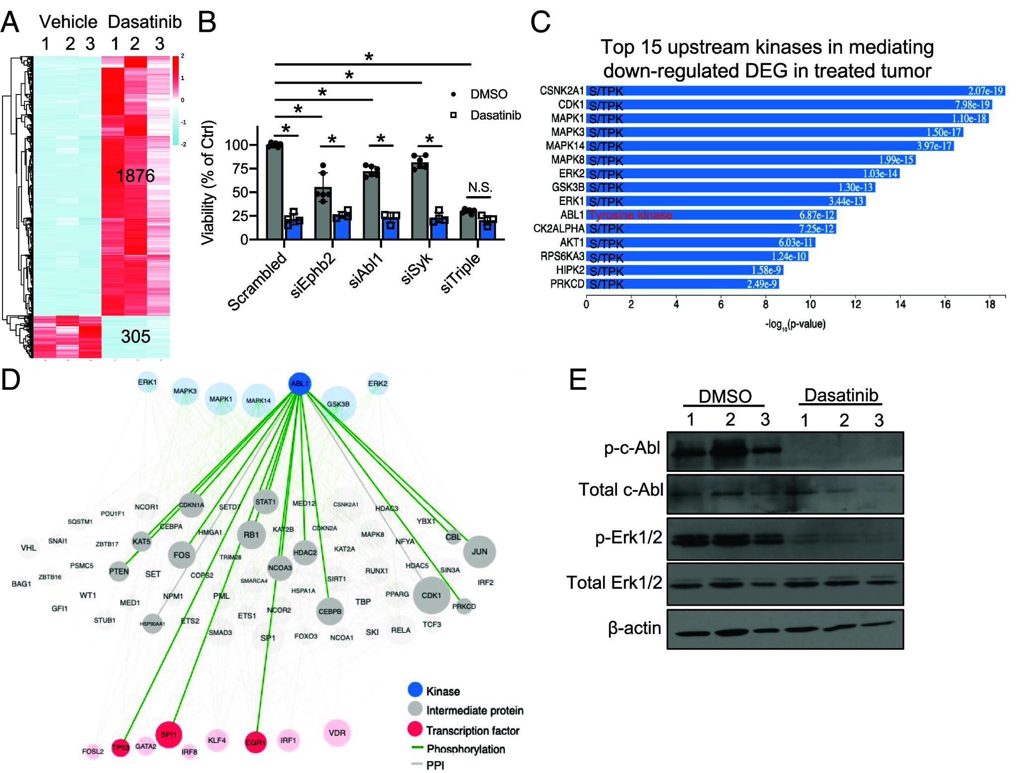 https://cdn.ncbi.nlm.nih.gov/pmc/blobs/4731/11789170/9e9337f10be6/pnas.2319474122fig03.jpg