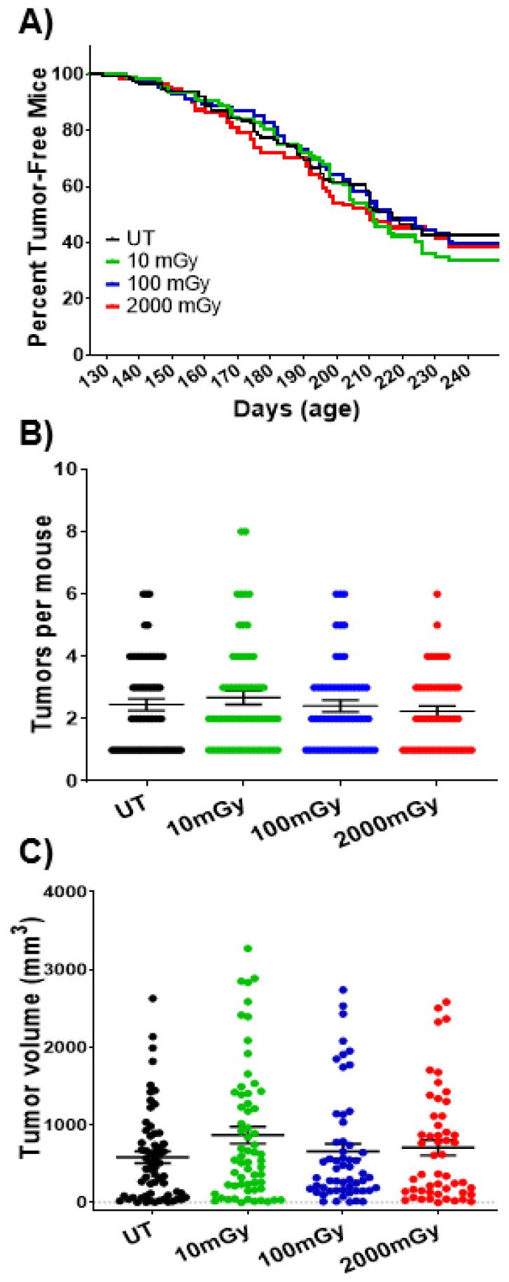 https://cdn.ncbi.nlm.nih.gov/pmc/blobs/4734/8306076/ca9bead05fe6/ijms-22-07303-g008.jpg