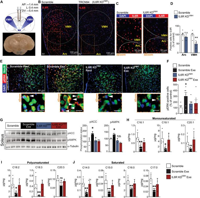 https://cdn.ncbi.nlm.nih.gov/pmc/blobs/4734/9337767/2c1e46b6fba6/sciadv.abm7355-f5.jpg