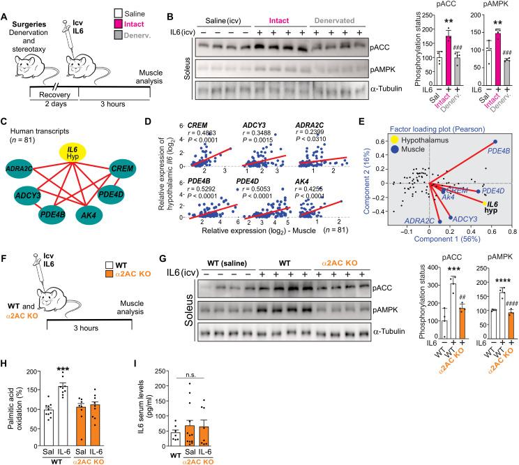 https://cdn.ncbi.nlm.nih.gov/pmc/blobs/4734/9337767/a343b0984695/sciadv.abm7355-f3.jpg