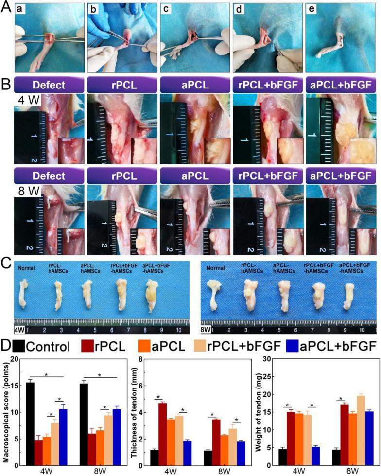 https://cdn.ncbi.nlm.nih.gov/pmc/blobs/4736/11673375/0817fbea1042/12951_2024_3022_Fig6_HTML.jpg
