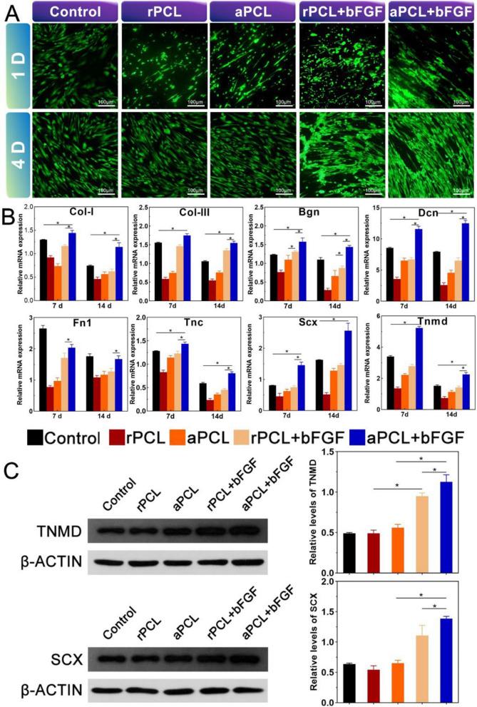 https://cdn.ncbi.nlm.nih.gov/pmc/blobs/4736/11673375/0ad3062e6466/12951_2024_3022_Fig5_HTML.jpg
