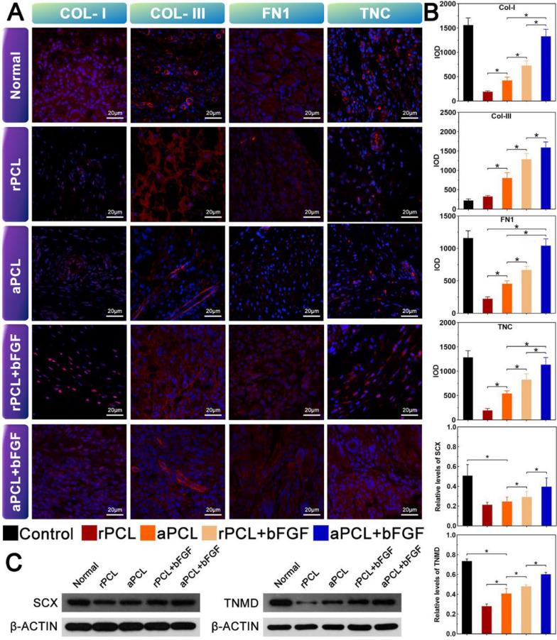 https://cdn.ncbi.nlm.nih.gov/pmc/blobs/4736/11673375/a27831c0e850/12951_2024_3022_Fig8_HTML.jpg