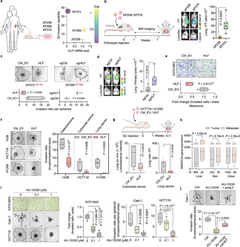 https://cdn.ncbi.nlm.nih.gov/pmc/blobs/4737/12141477/64eeb569dc83/41467_2025_60329_Fig7_HTML.jpg