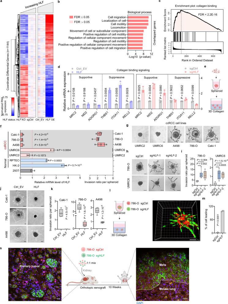 https://cdn.ncbi.nlm.nih.gov/pmc/blobs/4737/12141477/787922952671/41467_2025_60329_Fig3_HTML.jpg