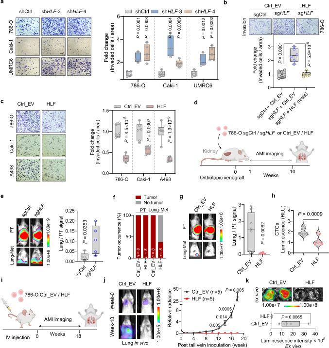 https://cdn.ncbi.nlm.nih.gov/pmc/blobs/4737/12141477/897b69c6f15c/41467_2025_60329_Fig2_HTML.jpg