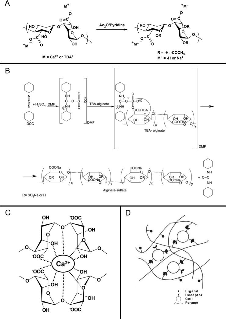 https://cdn.ncbi.nlm.nih.gov/pmc/blobs/4738/6551352/b8bb965d54b2/gr5.jpg