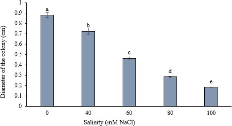 https://cdn.ncbi.nlm.nih.gov/pmc/blobs/4739/11921529/be62335ee3fe/12870_2025_6388_Fig1_HTML.jpg