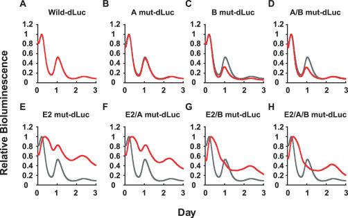 https://cdn.ncbi.nlm.nih.gov/pmc/blobs/4739/1802629/847b405d5355/gkl868f7.jpg