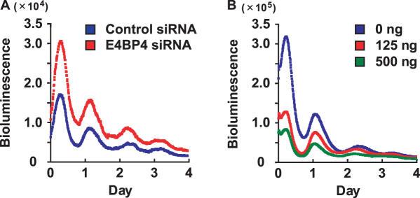 https://cdn.ncbi.nlm.nih.gov/pmc/blobs/4739/1802629/ca2875507b9b/gkl868f2.jpg
