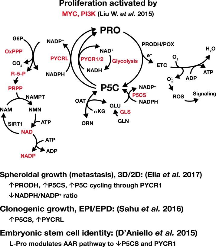 https://cdn.ncbi.nlm.nih.gov/pmc/blobs/4739/6338564/07182bc9ebd9/fig-5.jpg