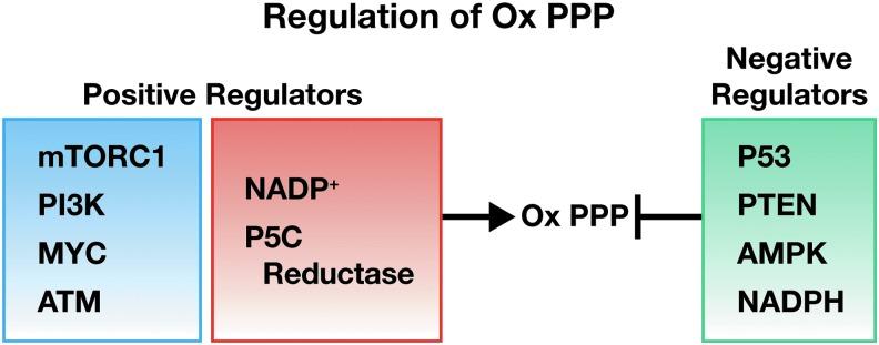 https://cdn.ncbi.nlm.nih.gov/pmc/blobs/4739/6338564/49f8cd211bd4/fig-6.jpg