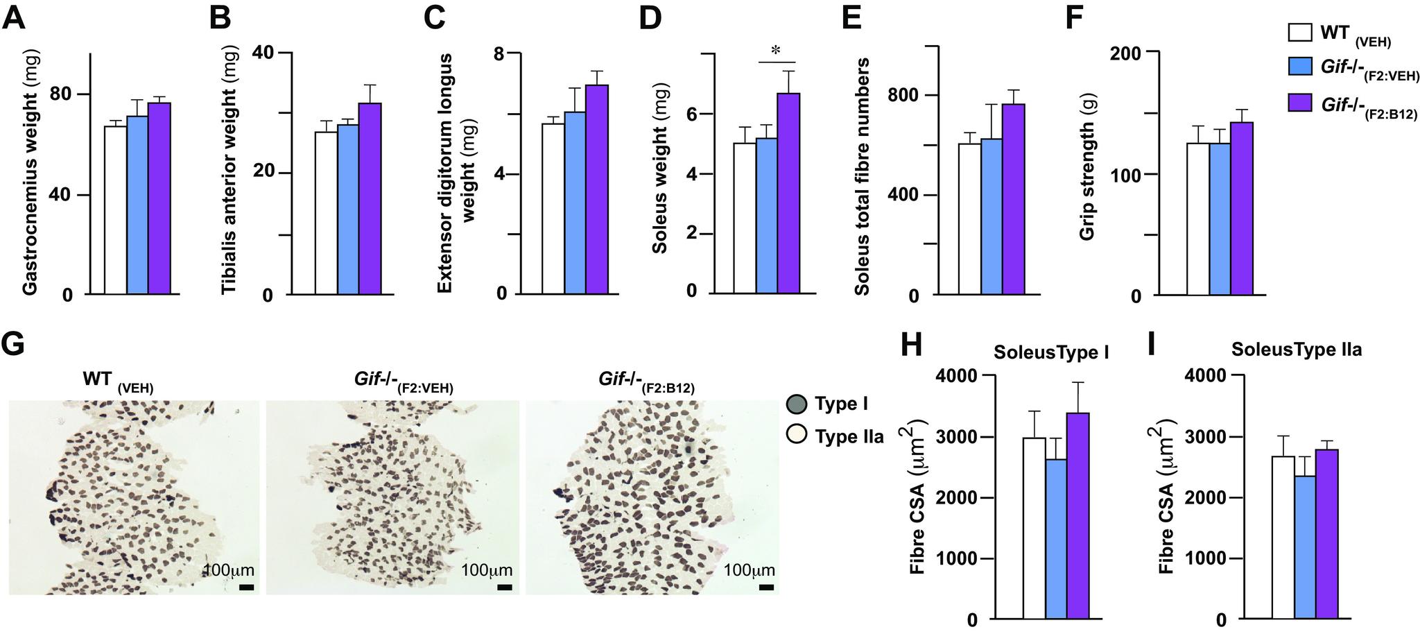 https://cdn.ncbi.nlm.nih.gov/pmc/blobs/4739/8285619/6d0962addec7/ajpregu.00355.2020_f004.jpg