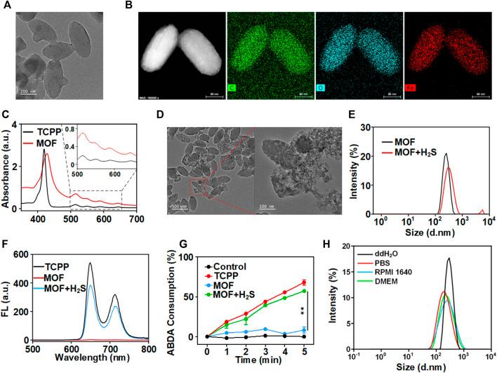 https://cdn.ncbi.nlm.nih.gov/pmc/blobs/4739/9585166/080760bde1b7/fbioe-10-1032571-g001.jpg