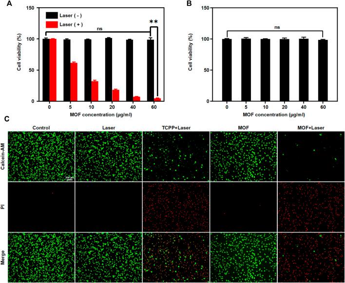 https://cdn.ncbi.nlm.nih.gov/pmc/blobs/4739/9585166/c765a6511eab/fbioe-10-1032571-g003.jpg