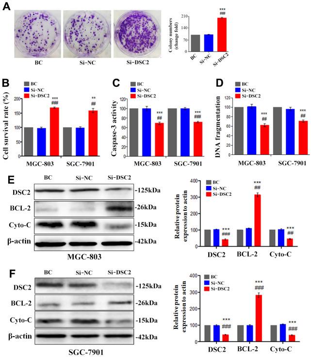 https://cdn.ncbi.nlm.nih.gov/pmc/blobs/473d/10373986/4ed10fa50ac6/aging-15-204858-g003.jpg