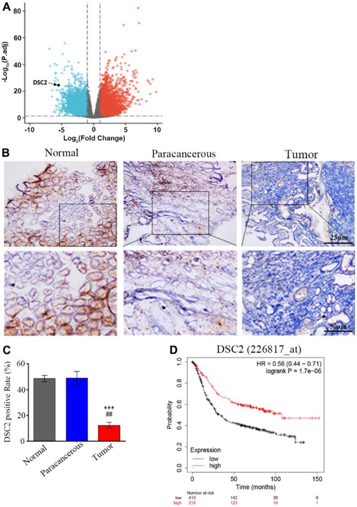 https://cdn.ncbi.nlm.nih.gov/pmc/blobs/473d/10373986/b27f32e5caf0/aging-15-204858-g001.jpg
