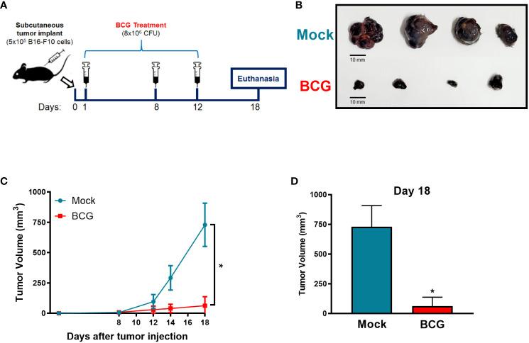 https://cdn.ncbi.nlm.nih.gov/pmc/blobs/473e/11148268/4f328371004f/fimmu-15-1380069-g001.jpg