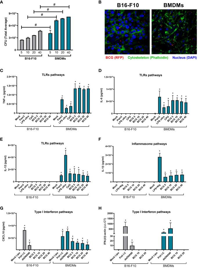 https://cdn.ncbi.nlm.nih.gov/pmc/blobs/473e/11148268/720ef70d98ec/fimmu-15-1380069-g002.jpg