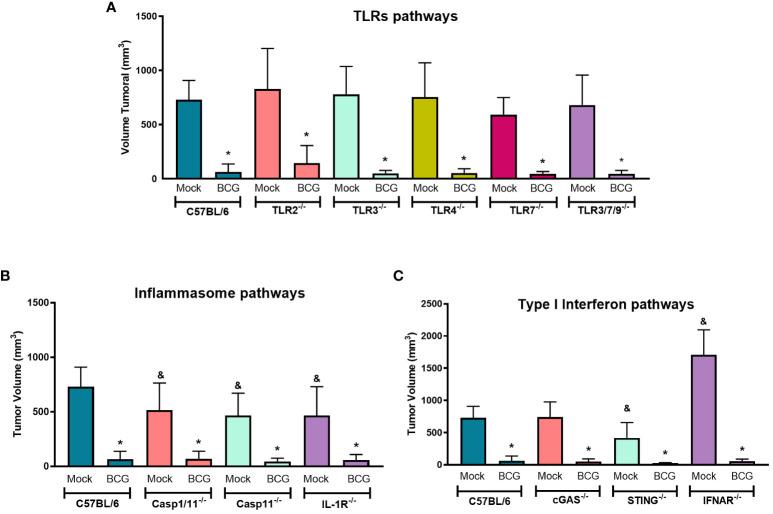 https://cdn.ncbi.nlm.nih.gov/pmc/blobs/473e/11148268/e115dc94e87c/fimmu-15-1380069-g003.jpg