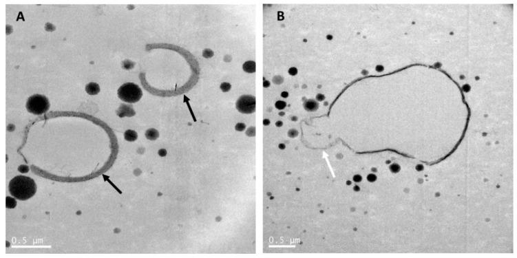 https://cdn.ncbi.nlm.nih.gov/pmc/blobs/473f/7696746/d3ca7ce825d0/nutrients-12-03486-g001.jpg