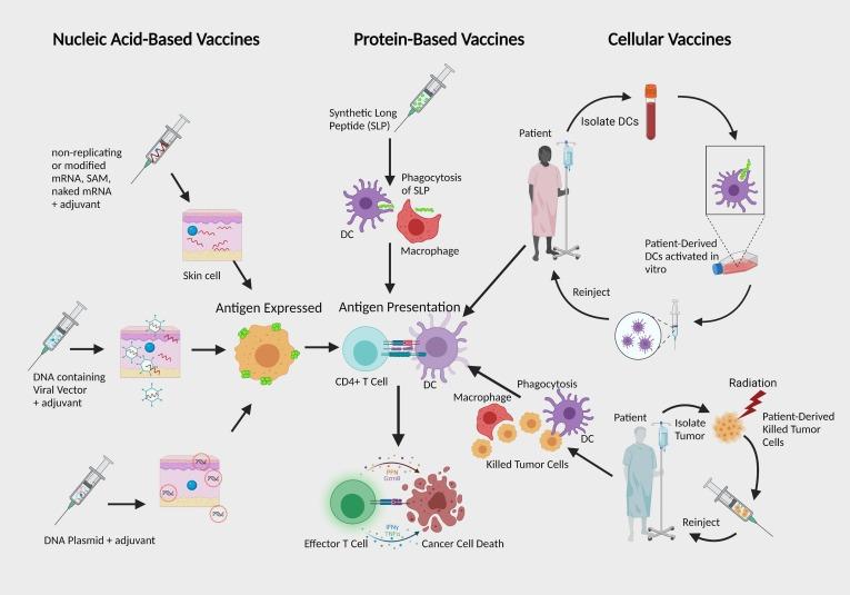 https://cdn.ncbi.nlm.nih.gov/pmc/blobs/4740/9217071/86703d0ff0da/gr1_lrg.jpg