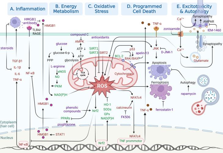 https://cdn.ncbi.nlm.nih.gov/pmc/blobs/4741/10334830/857216c4b3c6/thnov13p3524g003.jpg