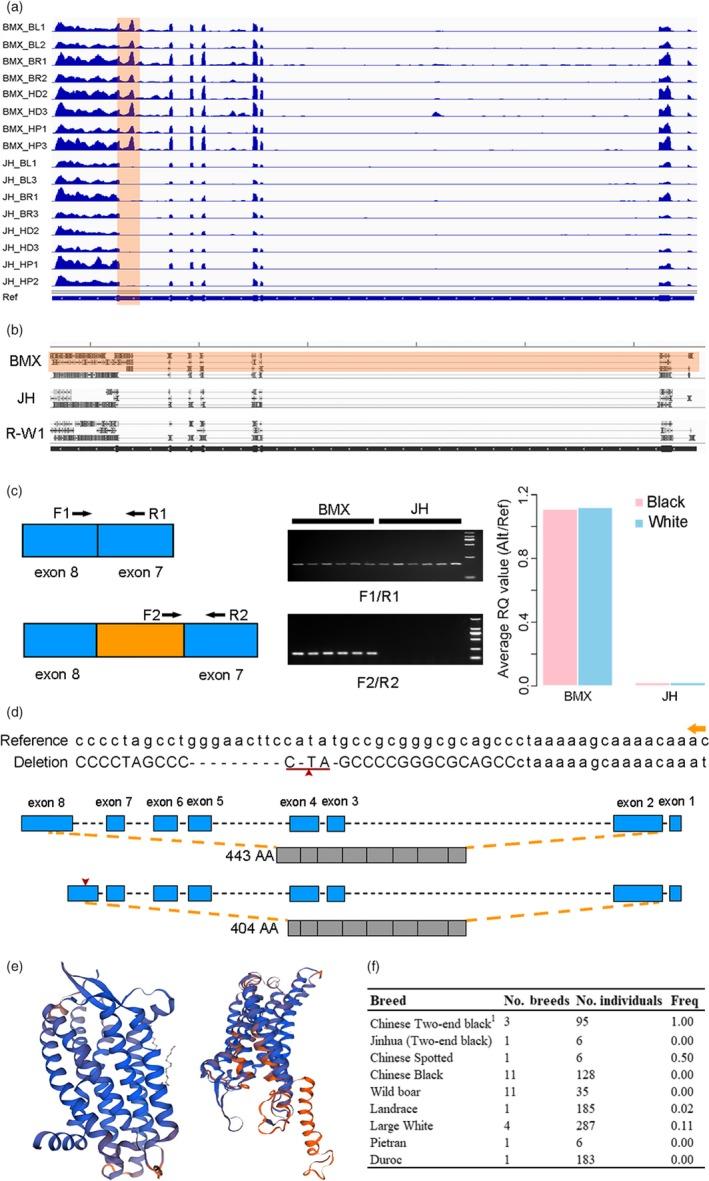 https://cdn.ncbi.nlm.nih.gov/pmc/blobs/4741/6976964/829ad5077289/EVA-13-458-g007.jpg
