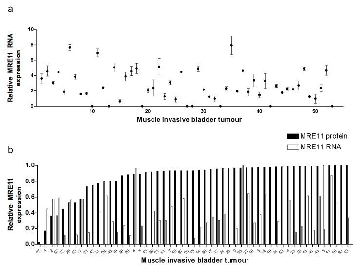https://cdn.ncbi.nlm.nih.gov/pmc/blobs/4742/4011600/43d1b6723851/oncotarget-05-993-g001.jpg