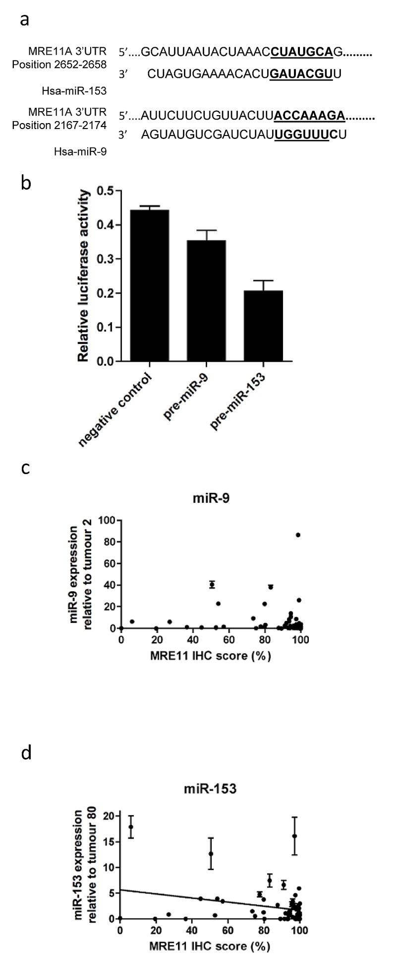 https://cdn.ncbi.nlm.nih.gov/pmc/blobs/4742/4011600/58219d27cdeb/oncotarget-05-993-g003.jpg