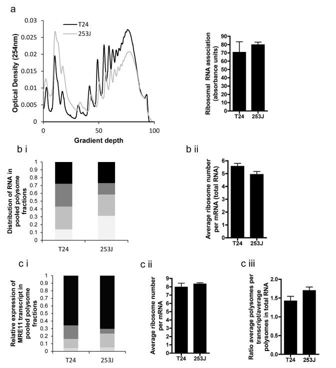https://cdn.ncbi.nlm.nih.gov/pmc/blobs/4742/4011600/5a6bff2e8161/oncotarget-05-993-g004.jpg