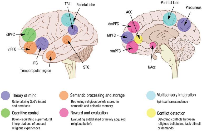 https://cdn.ncbi.nlm.nih.gov/pmc/blobs/4744/11638176/1bce2229c5ac/fnhum-18-1495565-g001.jpg