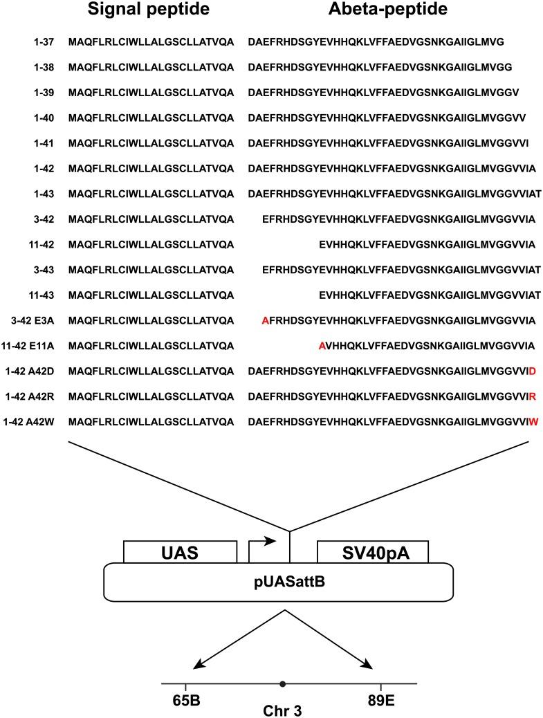https://cdn.ncbi.nlm.nih.gov/pmc/blobs/4745/4514787/d94f9bf81c78/pone.0133272.g001.jpg
