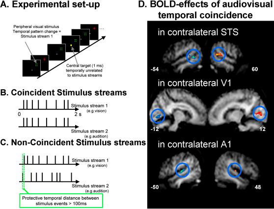 https://cdn.ncbi.nlm.nih.gov/pmc/blobs/4746/2427054/478876a12e67/gr4.jpg