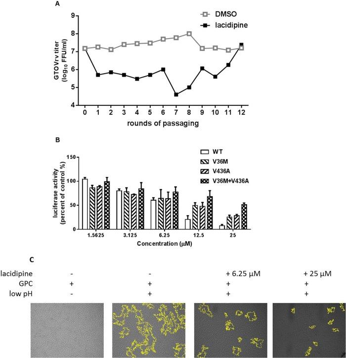 https://cdn.ncbi.nlm.nih.gov/pmc/blobs/4746/6069169/d136bca26494/zjv0161837890007.jpg