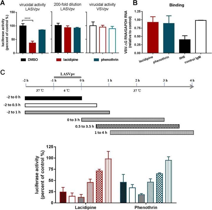 https://cdn.ncbi.nlm.nih.gov/pmc/blobs/4746/6069169/d91e724084f9/zjv0161837890003.jpg