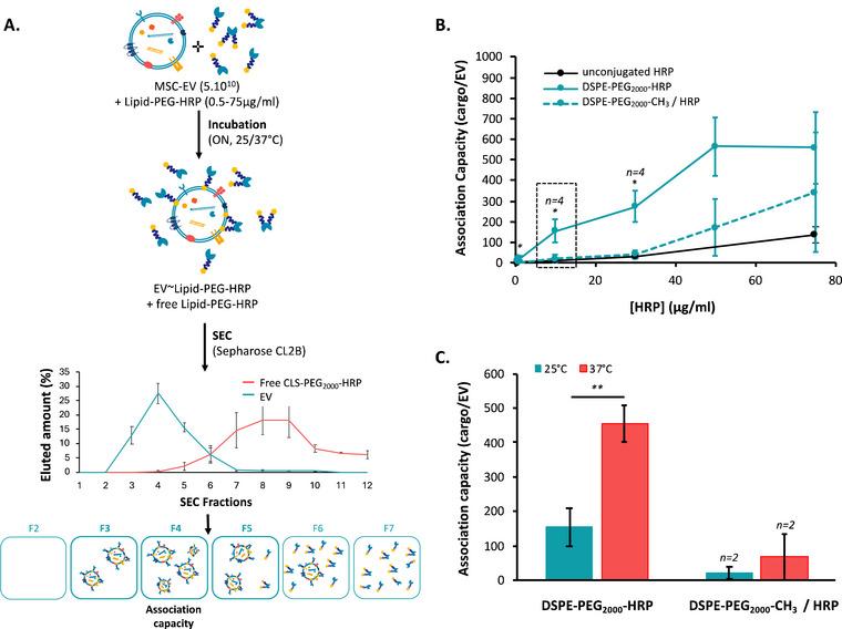 https://cdn.ncbi.nlm.nih.gov/pmc/blobs/4747/12077271/074c84720241/JEX2-4-e70048-g003.jpg