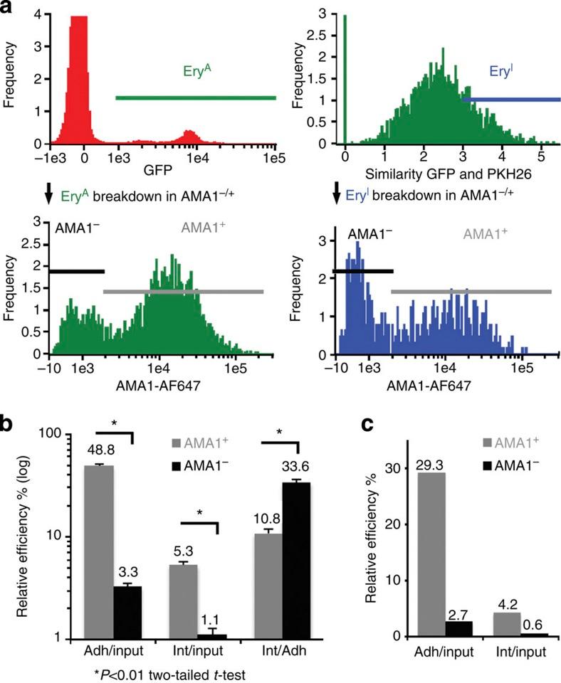 https://cdn.ncbi.nlm.nih.gov/pmc/blobs/4748/3826631/fefdd3b48422/ncomms3552-f7.jpg