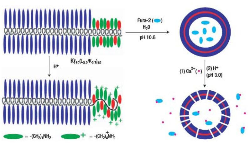 https://cdn.ncbi.nlm.nih.gov/pmc/blobs/4749/3444115/05c8c143e89a/sensors-12-09530f6.jpg