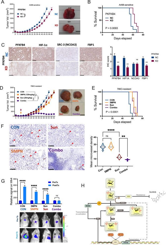 https://cdn.ncbi.nlm.nih.gov/pmc/blobs/4749/8638483/4ea4b552461f/13046_2021_2165_Fig1_HTML.jpg