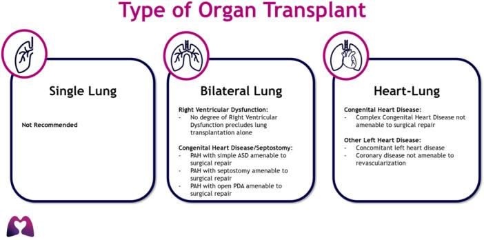 https://cdn.ncbi.nlm.nih.gov/pmc/blobs/474a/12018530/6b40b97f76a2/PUL2-15-e70088-g003.jpg