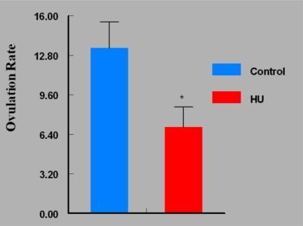 https://cdn.ncbi.nlm.nih.gov/pmc/blobs/474d/2898034/b8a3bbc0206b/ijerph-07-02033f4.jpg