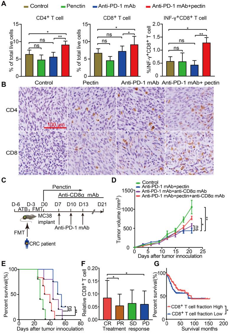 https://cdn.ncbi.nlm.nih.gov/pmc/blobs/474e/7977465/a5fde2341594/thnov11p4155g003.jpg