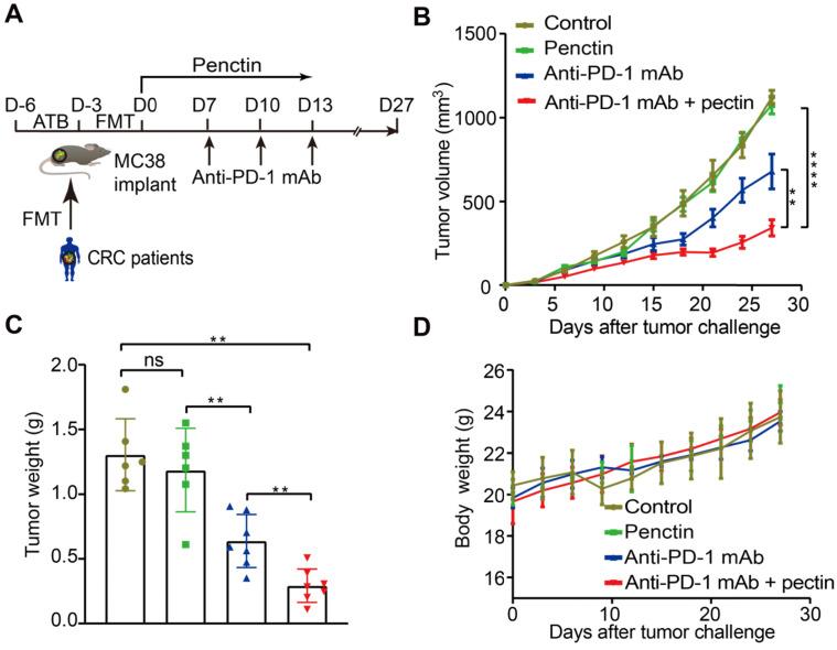 https://cdn.ncbi.nlm.nih.gov/pmc/blobs/474e/7977465/e429d0433a31/thnov11p4155g002.jpg