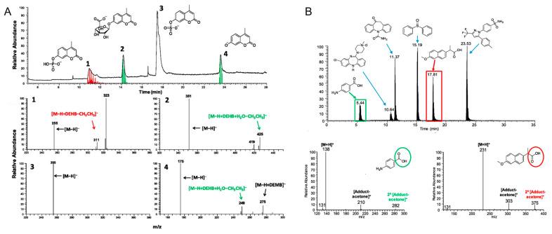 https://cdn.ncbi.nlm.nih.gov/pmc/blobs/4752/9572214/5443974eff29/molecules-27-06466-g007.jpg