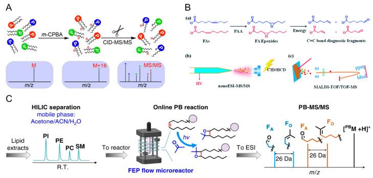 https://cdn.ncbi.nlm.nih.gov/pmc/blobs/4752/9572214/64ca3aa1d9f1/molecules-27-06466-g006.jpg