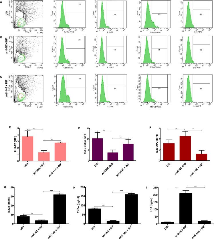 https://cdn.ncbi.nlm.nih.gov/pmc/blobs/4754/7943006/23a44672103b/ppat.1009343.g004.jpg