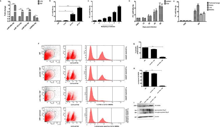 https://cdn.ncbi.nlm.nih.gov/pmc/blobs/4754/7943006/865537c86f8a/ppat.1009343.g001.jpg
