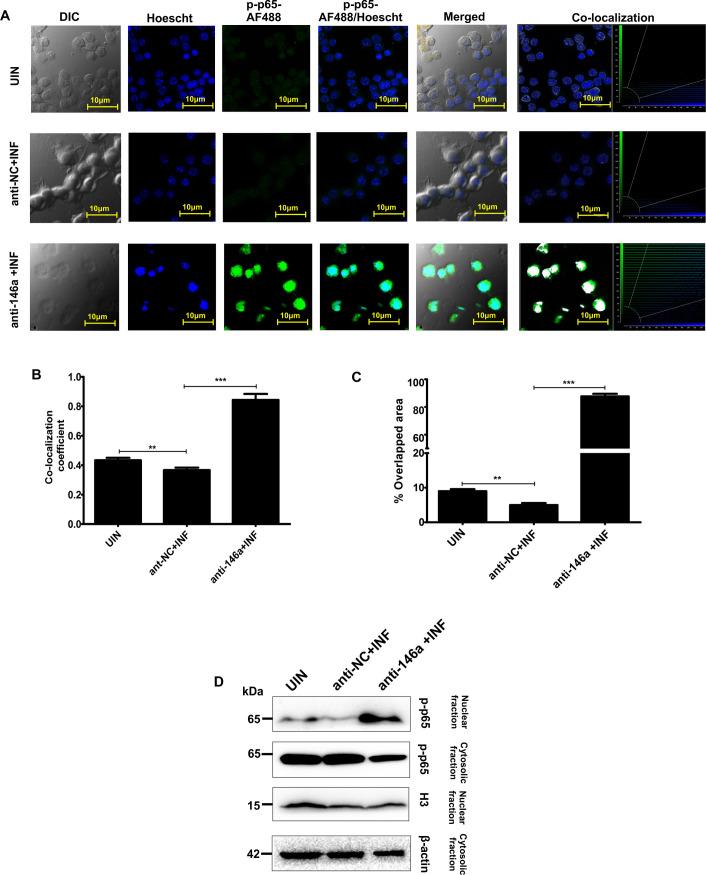 https://cdn.ncbi.nlm.nih.gov/pmc/blobs/4754/7943006/c7ac16d0303e/ppat.1009343.g005.jpg